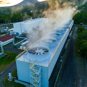 Biología y Ecología